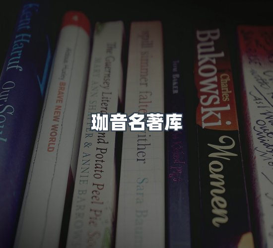 关于珈音名著库